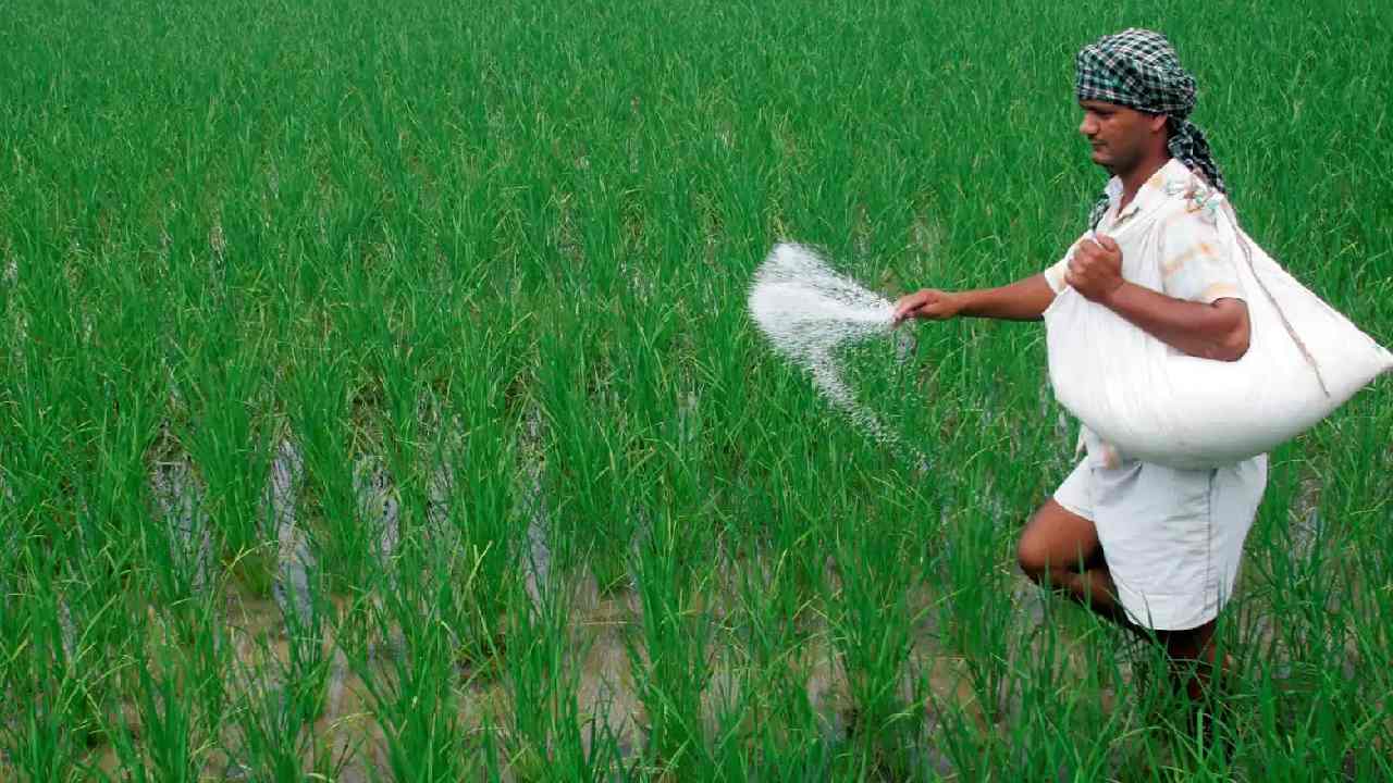 The Union Cabinet: ఎరువులపై సబ్సిడీ కొనసాగిస్తూ కేబినెట్ నిర్ణయం The Union Cabinet: ఎరువులపై సబ్సిడీ కొనసాగిస్తూ కేబినెట్ నిర్ణయం
