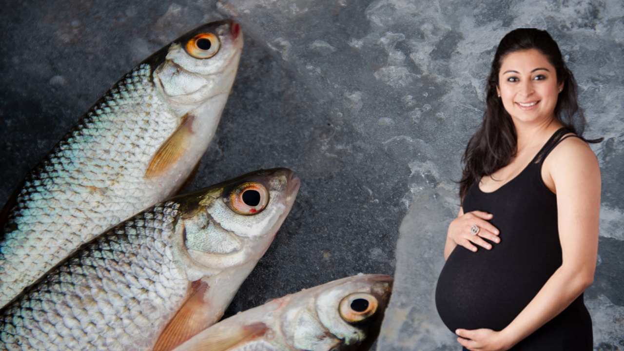 Pregnant Women : గర్భిణీ స్త్రీలు చేపలు తినటం మంచిదా? Pregnant Women : గర్భిణీ స్త్రీలు చేపలు తినటం మంచిదా?