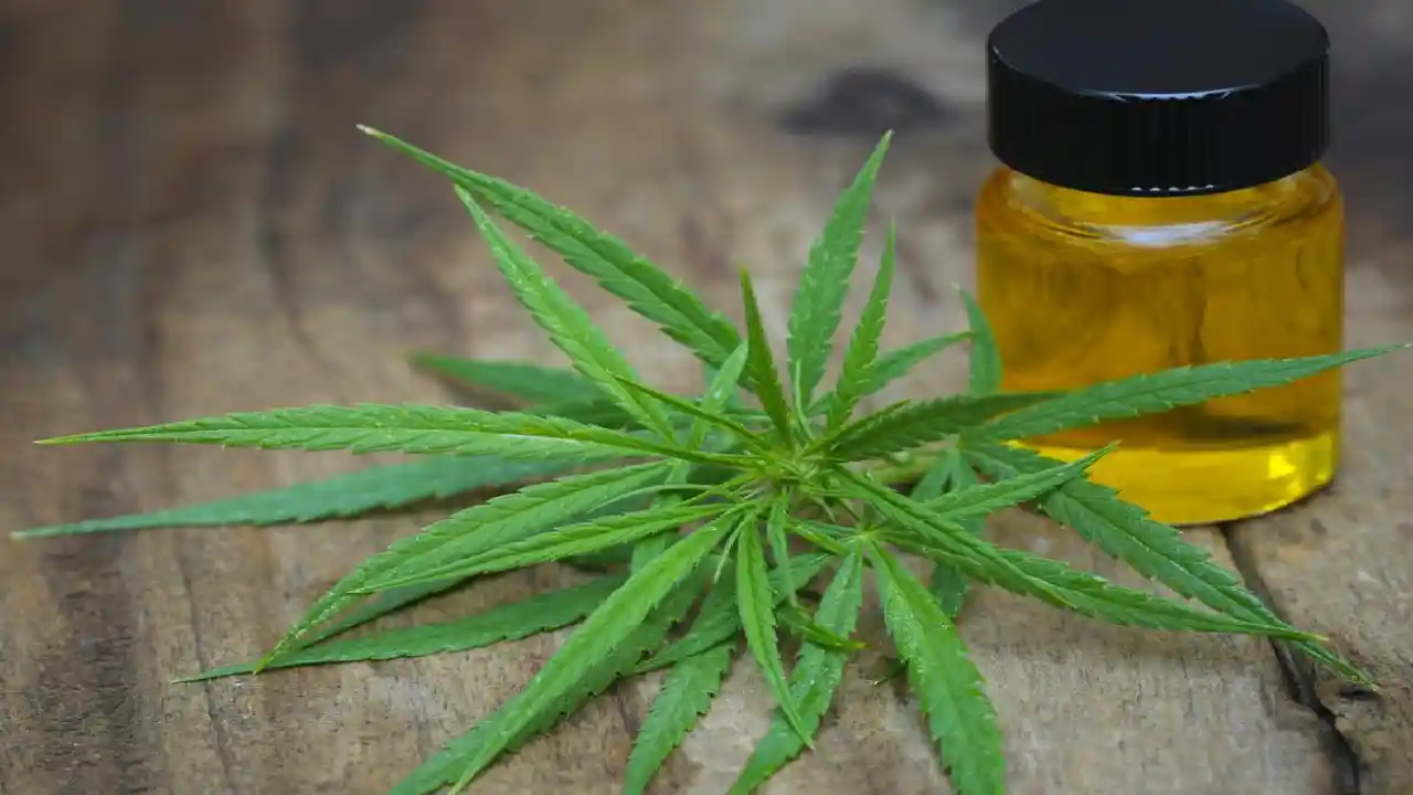 Cannabis Oil : సికింద్రాబాద్లో హ్యాష్ ఆయిల్ ముఠా అరెస్ట్ Cannabis Oil : సికింద్రాబాద్లో హ్యాష్ ఆయిల్ ముఠా అరెస్ట్
