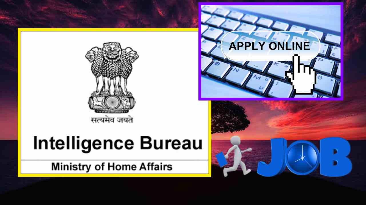IB Jobs : ఐబీలో గ్రేడ్ 2 ఏసీఐఓ ఉద్యోగాల భర్తీ IB Jobs : ఐబీలో గ్రేడ్ 2 ఏసీఐఓ ఉద్యోగాల భర్తీ