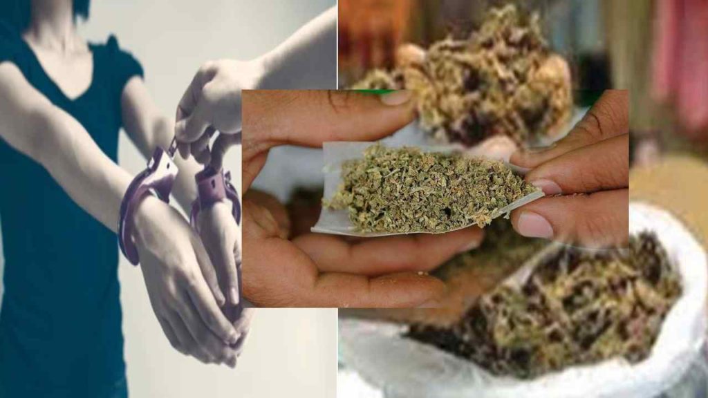 It Employee Arrest Selling Cannabis