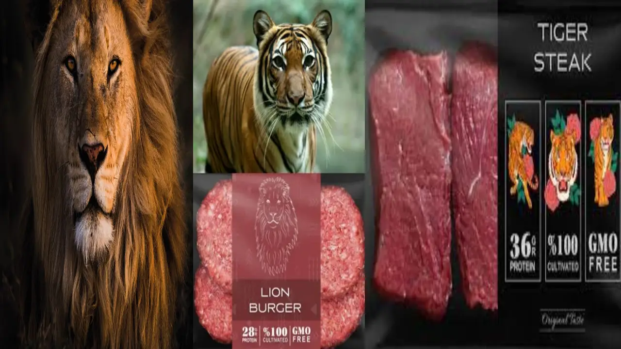 Lab Grown Food Startup Will Soon Serve Lion Tiger And Elephant Meat