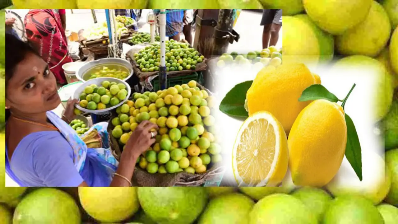 Lemon Rates Compete To Apple Rates In Nellore