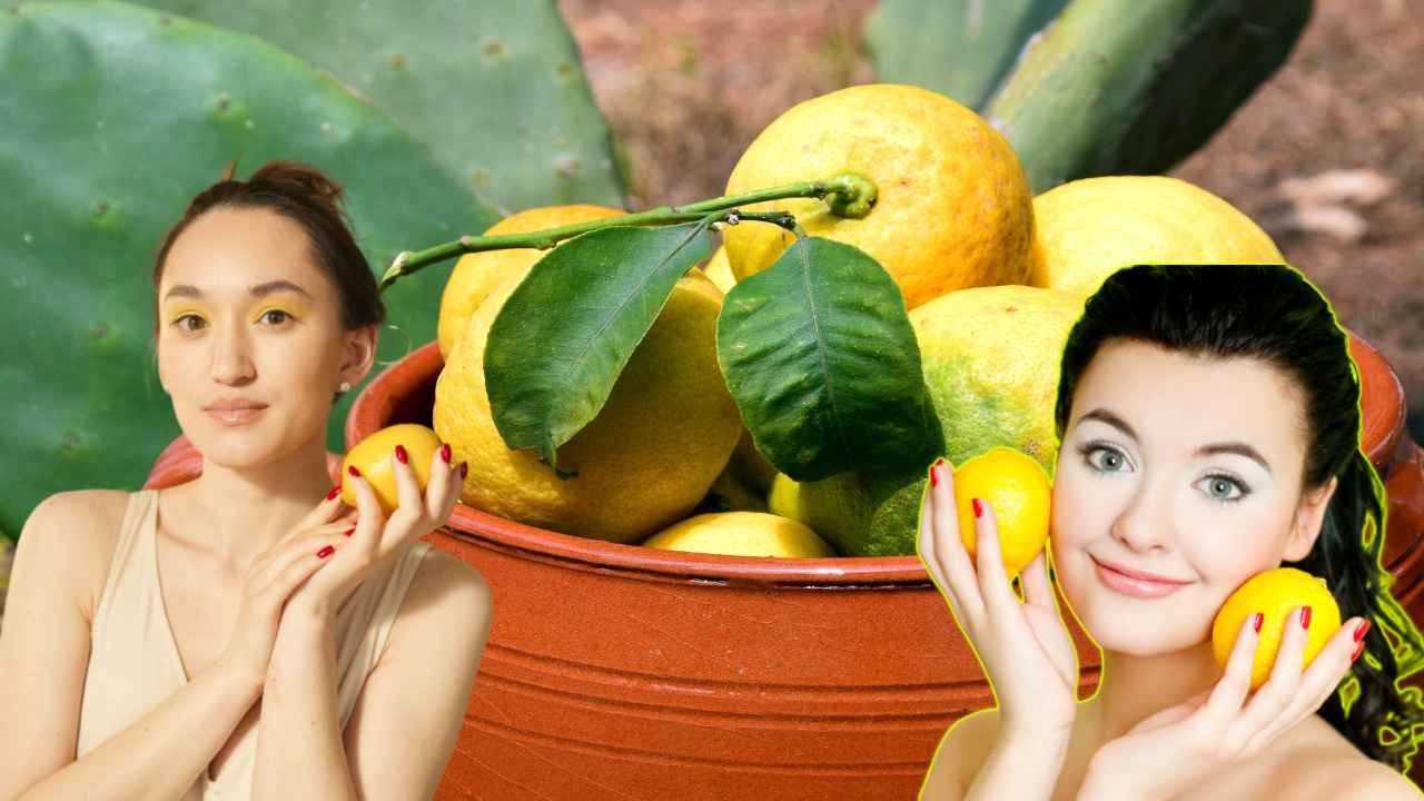 Lemon : ఆరోగ్యంతోపాటు అందానికి నిమ్మ Lemon : ఆరోగ్యంతోపాటు అందానికి నిమ్మ