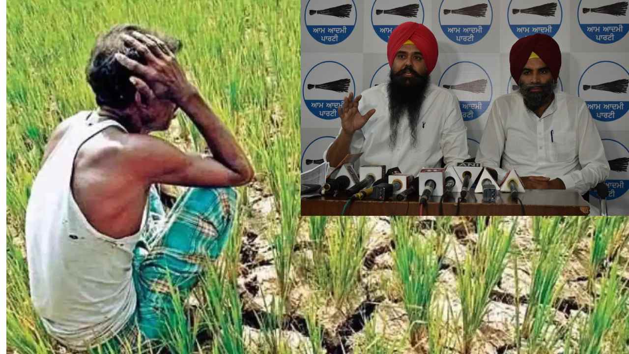 AAP Punjab: లోన్ కట్టని రైతులపై అరెస్ట్ వారంట్ జారీచేసిన పంజాబ్ ఆప్ సర్కార్: అంతలోనే దిద్దుబాటు చర్యలు AAP Punjab: లోన్ కట్టని రైతులపై అరెస్ట్ వారంట్ జారీచేసిన పంజాబ్ ఆప్ సర్కార్: అంతలోనే దిద్దుబాటు చర్యలు