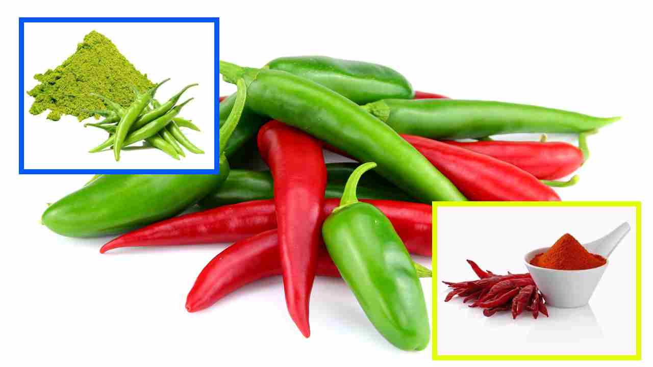Chillies : పచ్చి మిర్చి, ఎర్ర మిర్చి ఏది ఆరోగ్యకరమైనది? Chillies : పచ్చి మిర్చి, ఎర్ర మిర్చి ఏది ఆరోగ్యకరమైనది?