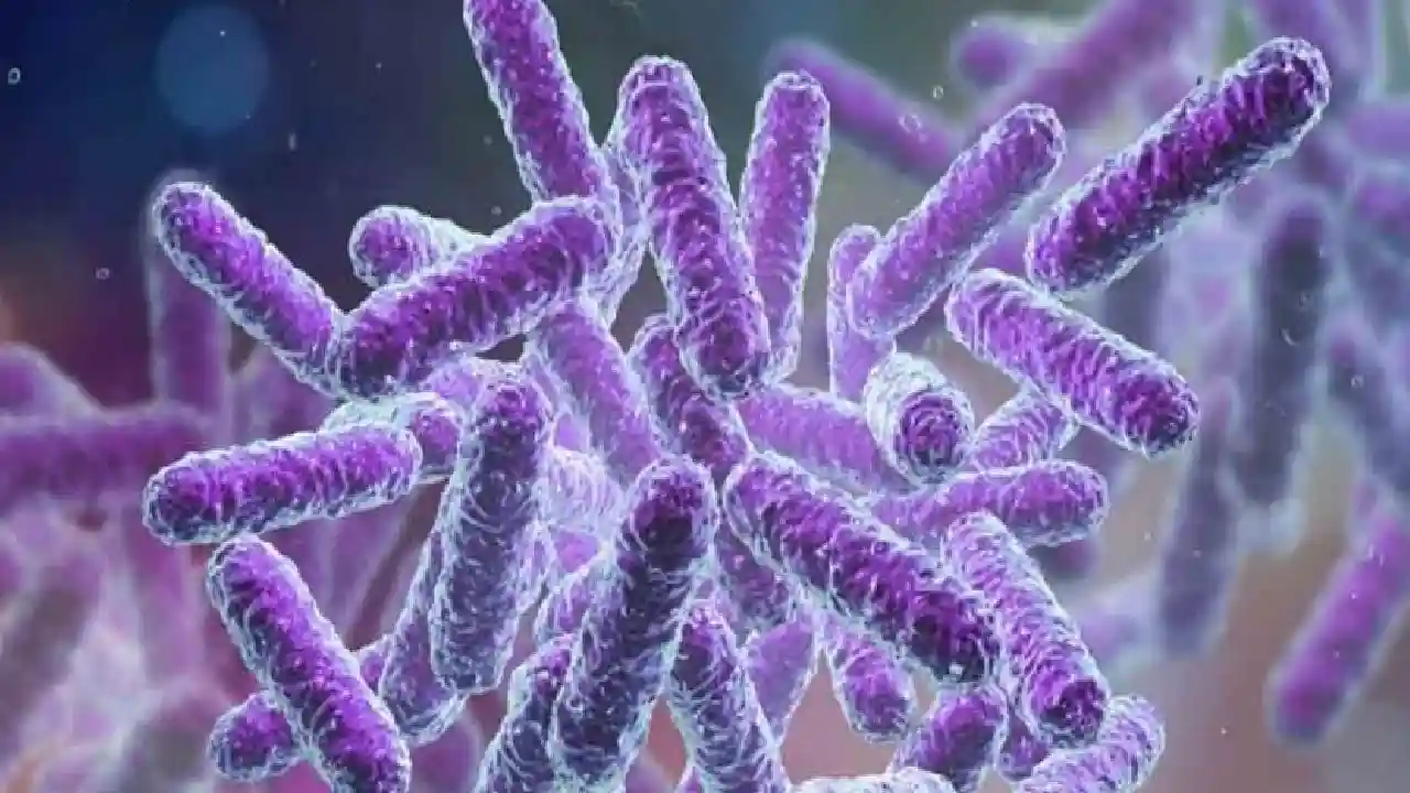 Shigella Bacteria : కేరళలో మరోసారి వెలుగు చూసిన షిగెల్లా బ్యాక్టీరియా కేసు Shigella Bacteria : కేరళలో మరోసారి వెలుగు చూసిన షిగెల్లా బ్యాక్టీరియా కేసు