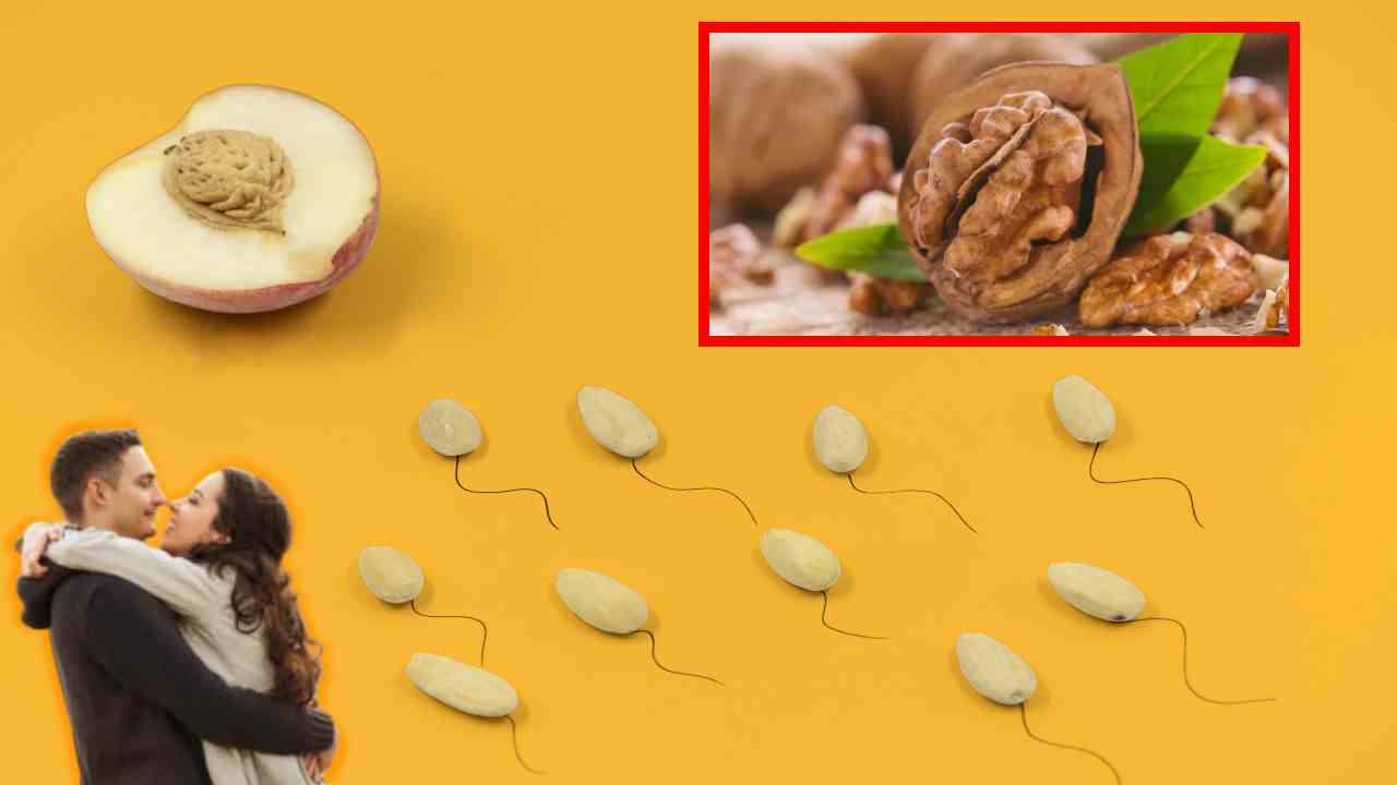 Sperm Count : వీర్యకణాలను పెంచే వాల్ నట్స్! Sperm Count : వీర్యకణాలను పెంచే వాల్ నట్స్!