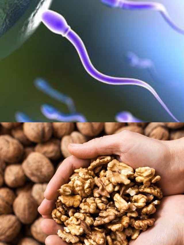 >వీర్యకణాలను పెంచే వాల్ నట్స్!