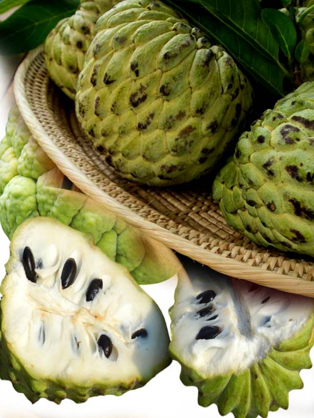 సీతాఫ‌లంలో ఎన్ని ఆరోగ్య ప్రయోజనాలో తెలుసా? 10TV Telugu 10 super custard apple health