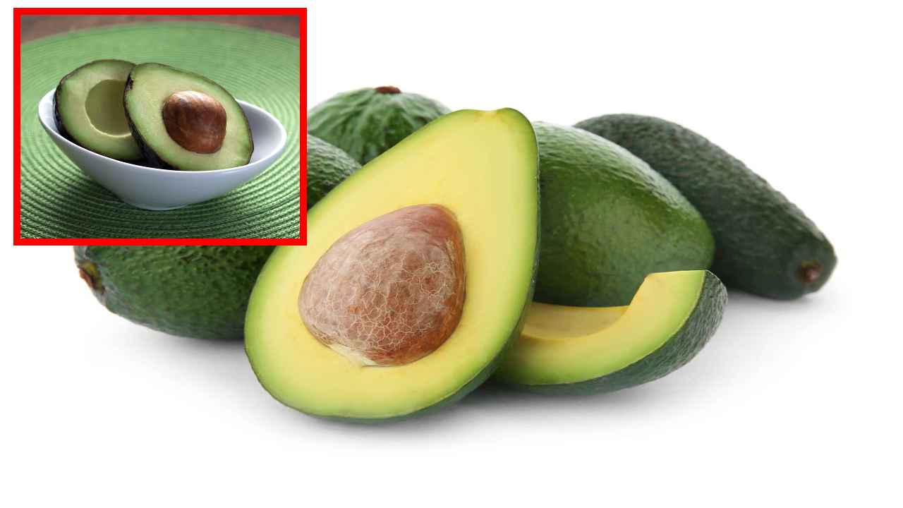 Avocado : రక్తపోటును తగ్గించి, గుండెను ఆరోగ్యంగా ఉంచే అవొకాడో! Avocado : రక్తపోటును తగ్గించి, గుండెను ఆరోగ్యంగా ఉంచే అవొకాడో!