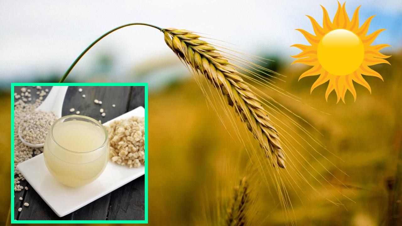 Barley Water : వేసవిలో వేడిని తగ్గించి, శక్తిని అందించే బార్లీ వాటర్! Barley Water : వేసవిలో వేడిని తగ్గించి, శక్తిని అందించే బార్లీ వాటర్!