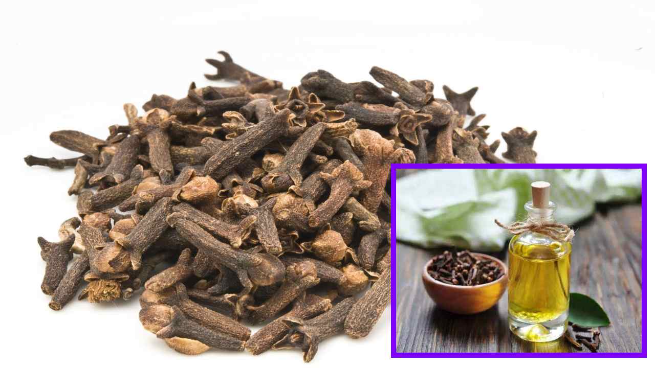 CLOVES : దంతాలు, చిగుళ్ల సమస్యతోపాటు, చక్కెర స్ధాయిలను తగ్గించే లవంగాలు! CLOVES : దంతాలు, చిగుళ్ల సమస్యతోపాటు, చక్కెర స్ధాయిలను తగ్గించే లవంగాలు!