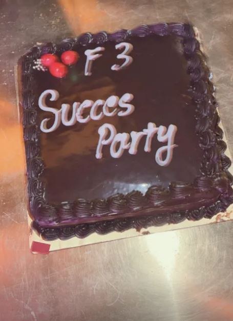 F3 Movie Success Celebrations 