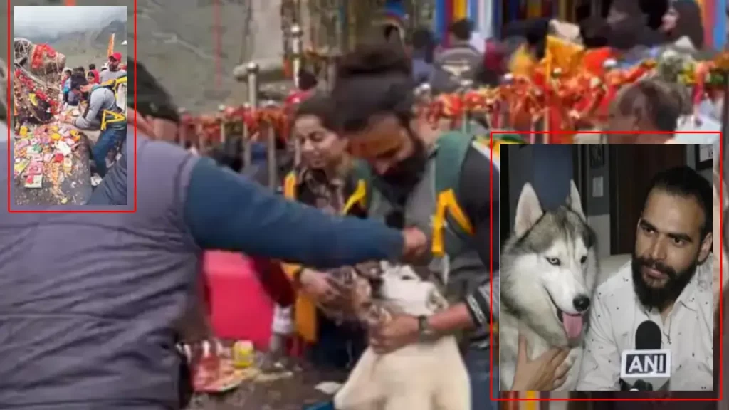 Fir Against Man And His Husky For Praying At Kedarnath Temple