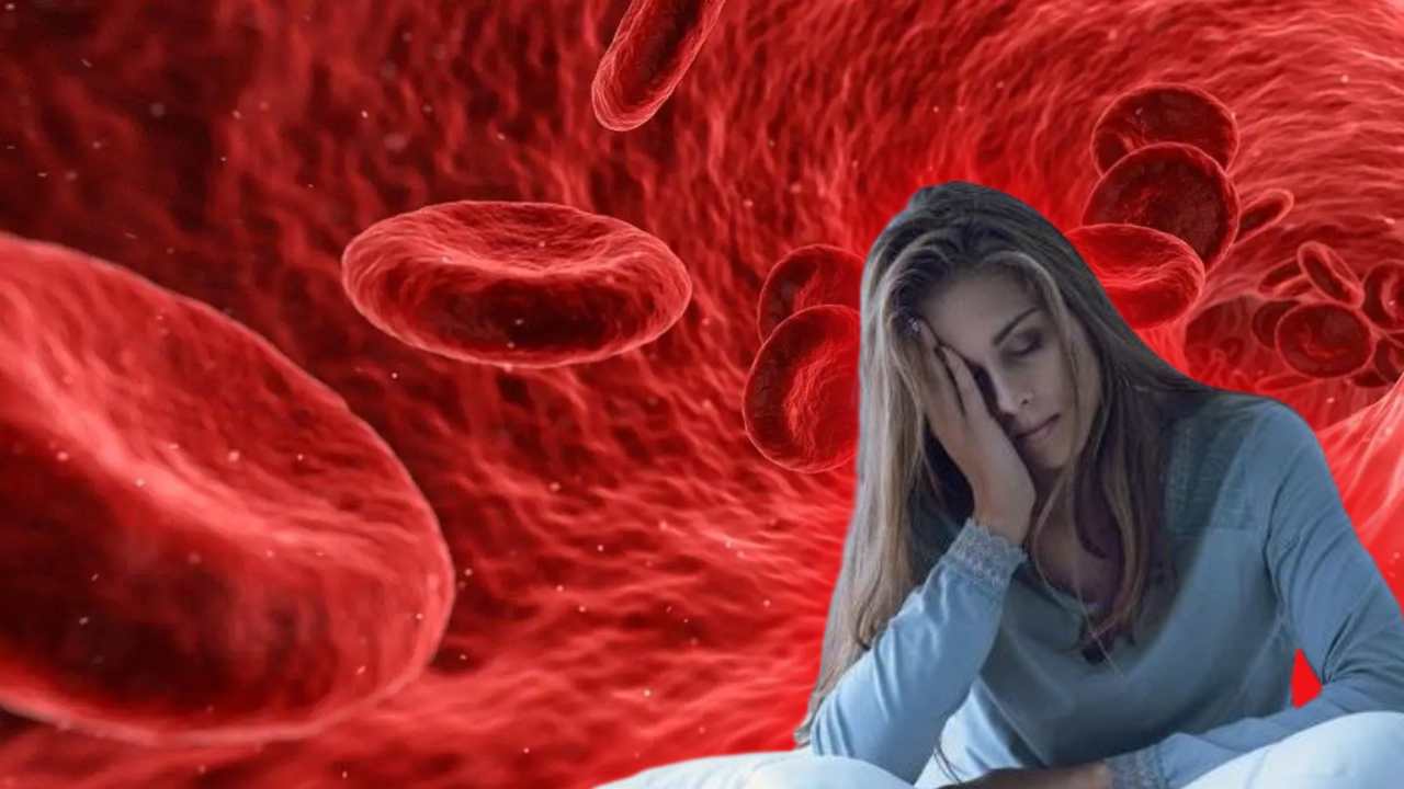 Hemoglobin : అలసట, నిస్సత్తువ కారణం ఏమైఉంటుందనేగా? Hemoglobin : అలసట, నిస్సత్తువ కారణం ఏమైఉంటుందనేగా?