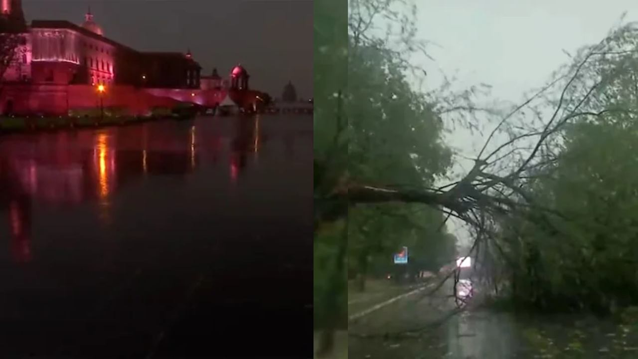 Delhi Heavy Rains : ఢిల్లీలో ఆరెంజ్ అలర్ట్.. భారీ వర్షంతో నేలకూలిన చెట్లు.. విమాన సర్వీసులు రద్దు! Delhi Heavy Rains : ఢిల్లీలో ఆరెంజ్ అలర్ట్.. భారీ వర్షంతో నేలకూలిన చెట్లు.. విమాన సర్వీసులు రద్దు!