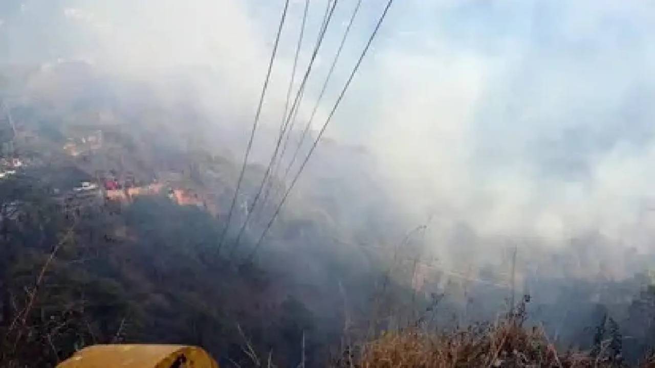 Forest Fire: ఎల్వోసీ వద్ద కార్చిచ్చు.. పేలుతున్న ల్యాండ్మైన్లు Forest Fire: ఎల్వోసీ వద్ద కార్చిచ్చు.. పేలుతున్న ల్యాండ్మైన్లు