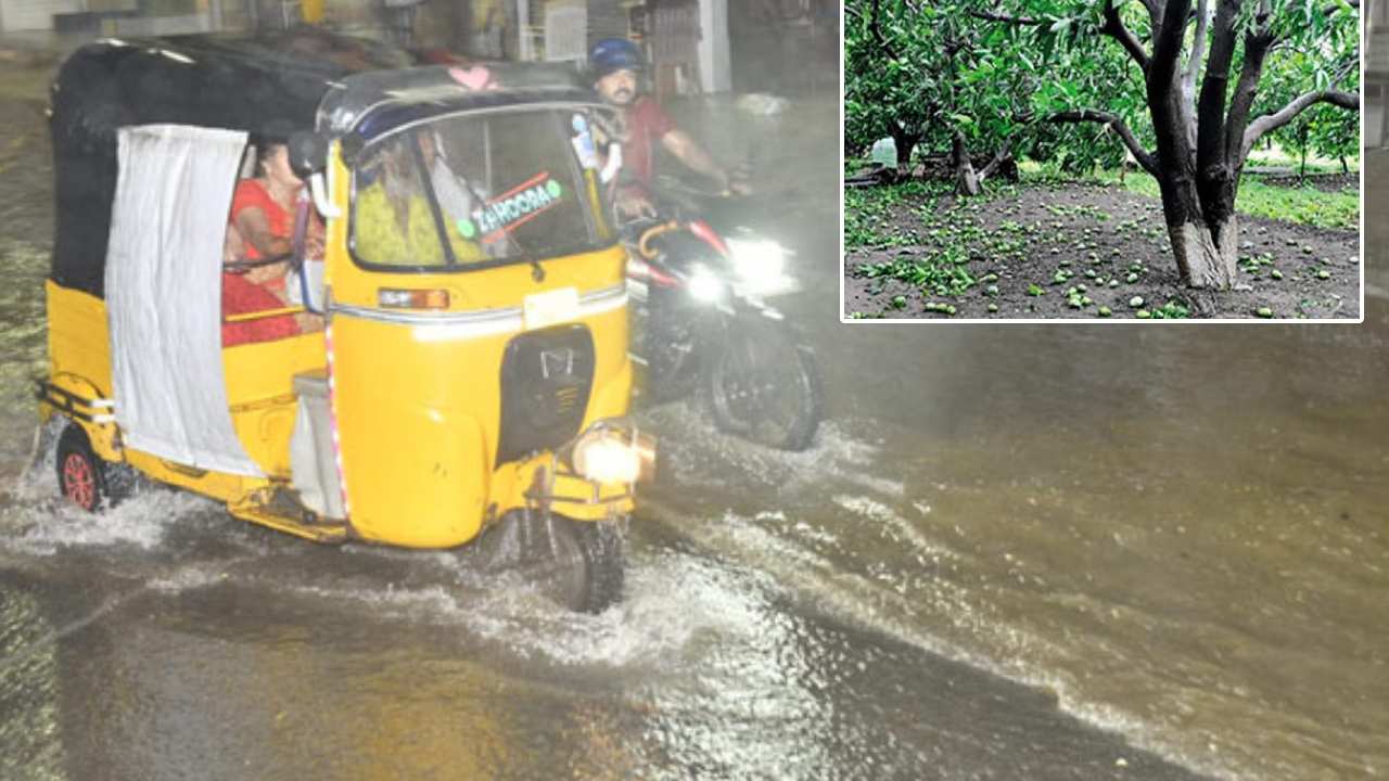 Weather alert: తెలంగాణలో అకాల వర్షం.. అన్నదాత విలవిల.. Weather alert: తెలంగాణలో అకాల వర్షం.. అన్నదాత విలవిల..