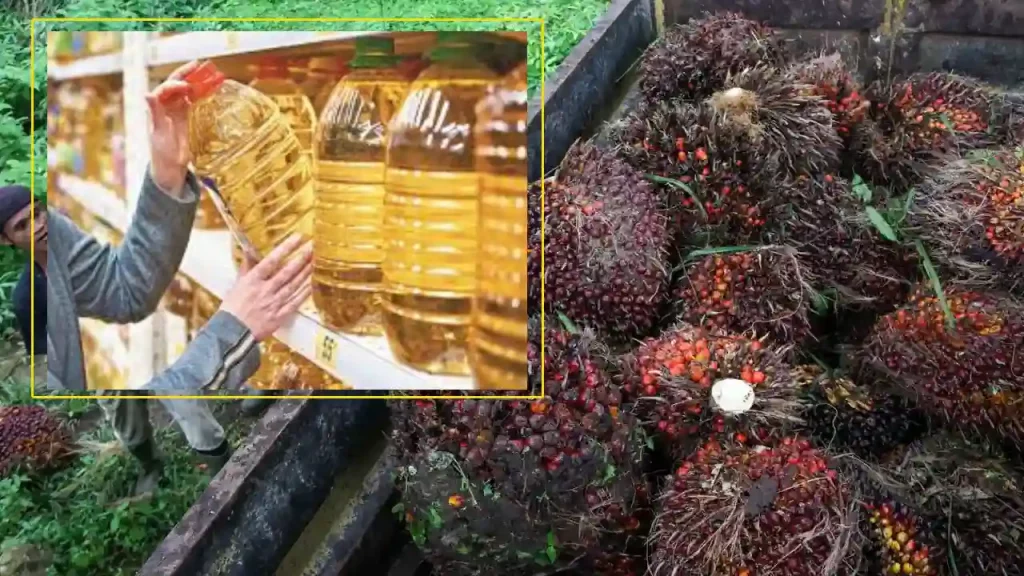 Indonesia To Lift Palm Oil Export Ban (3)