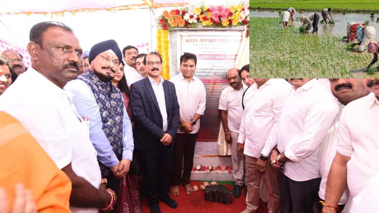 KTR On Farmers Sacrifice : రైతులకు ఒక్కొక్కరికి 100 గజాల ప్లాట్లు-కేటీఆర్ కీలక ప్రకటన KTR On Farmers Sacrifice : రైతులకు ఒక్కొక్కరికి 100 గజాల ప్లాట్లు-కేటీఆర్ కీలక ప్రకటన