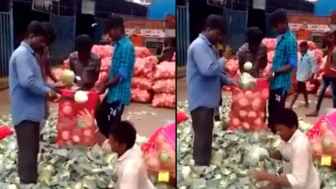 Man Cuts Cabbage :వావ్..వాటే టైమింగ్..! క్యాబేజీని ఏం కట్ చేస్తున్నావ్ భయ్యా.. Man Cuts Cabbage :వావ్..వాటే టైమింగ్..! క్యాబేజీని ఏం కట్ చేస్తున్నావ్ భయ్యా..