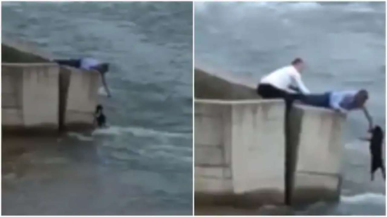 Man Saves Dog:పెళ్లి పక్కకుపెట్టి నీళ్లల్లో కొట్టుకుపోకుండా కుక్కను కాపాడిన పెళ్లికొడుకు Man Saves Dog:పెళ్లి పక్కకుపెట్టి నీళ్లల్లో కొట్టుకుపోకుండా కుక్కను కాపాడిన పెళ్లికొడుకు
