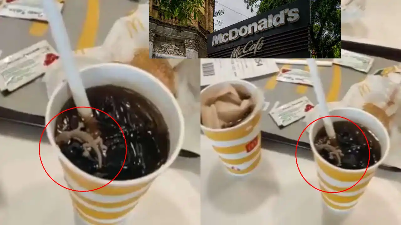 McDonald’s : మెక్ డొనాల్డ్స్ కూల్ డ్రింకులో చచ్చిన బల్లి…అవుట్ లెట్ మూసివేత McDonald’s : మెక్ డొనాల్డ్స్ కూల్ డ్రింకులో చచ్చిన బల్లి…అవుట్ లెట్ మూసివేత