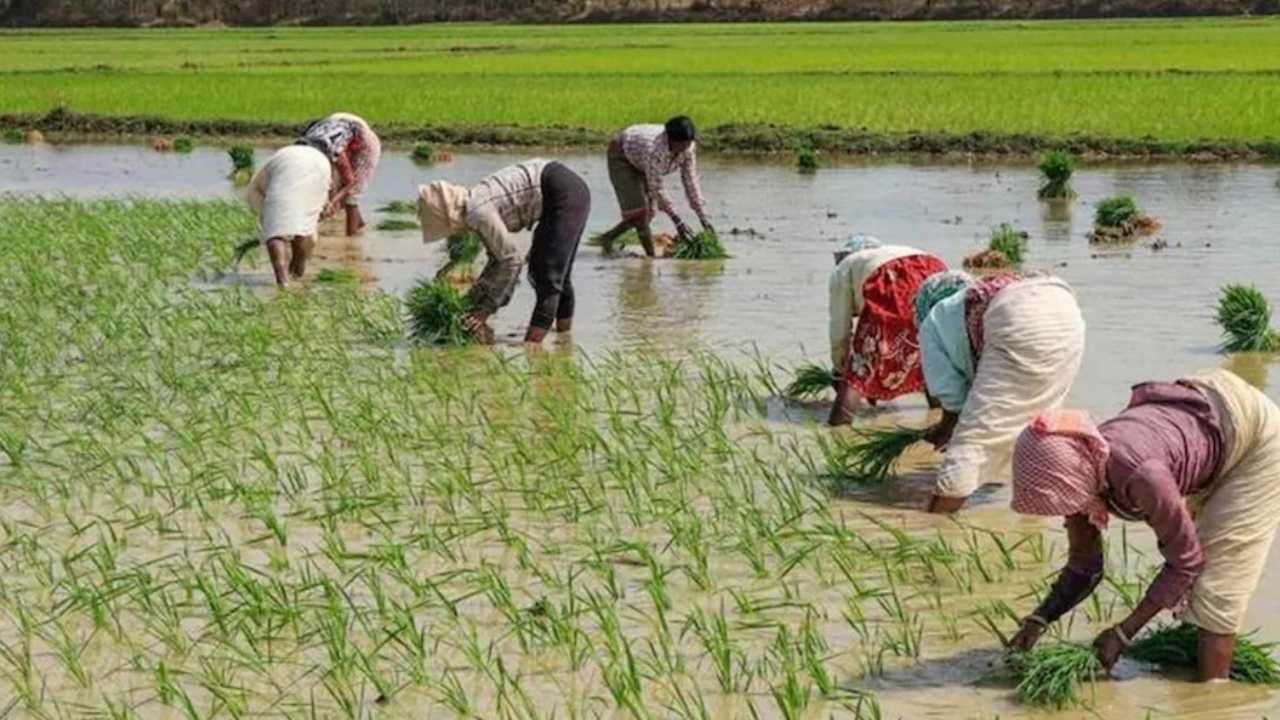 PM KISAN: పీఎం కిసాన్ పథకం వర్తించాలంటే అలా చేయాల్సిందే.. మే31 వరకే అవకాశం.. PM KISAN: పీఎం కిసాన్ పథకం వర్తించాలంటే అలా చేయాల్సిందే.. మే31 వరకే అవకాశం..