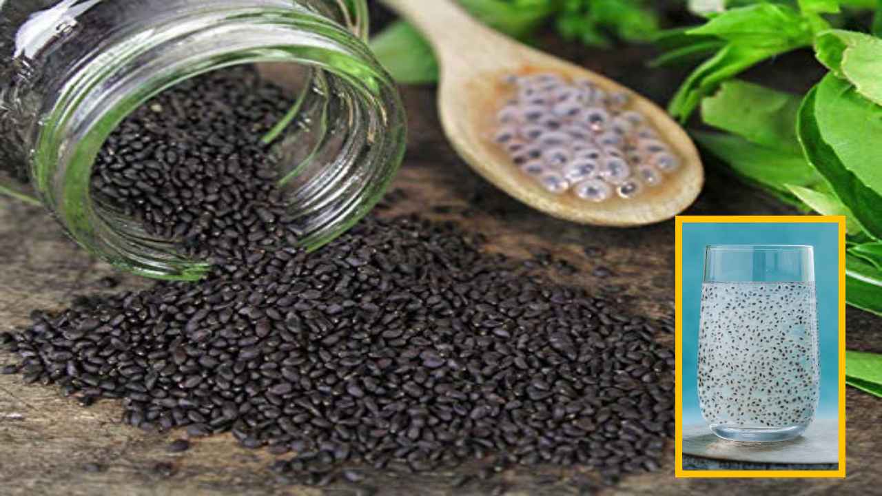 Sabza Nut Water : వేసవిలో సబ్జా గింజల నీళ్లు ఆరోగ్యానికి మేలే! Sabza Nut Water : వేసవిలో సబ్జా గింజల నీళ్లు ఆరోగ్యానికి మేలే!
