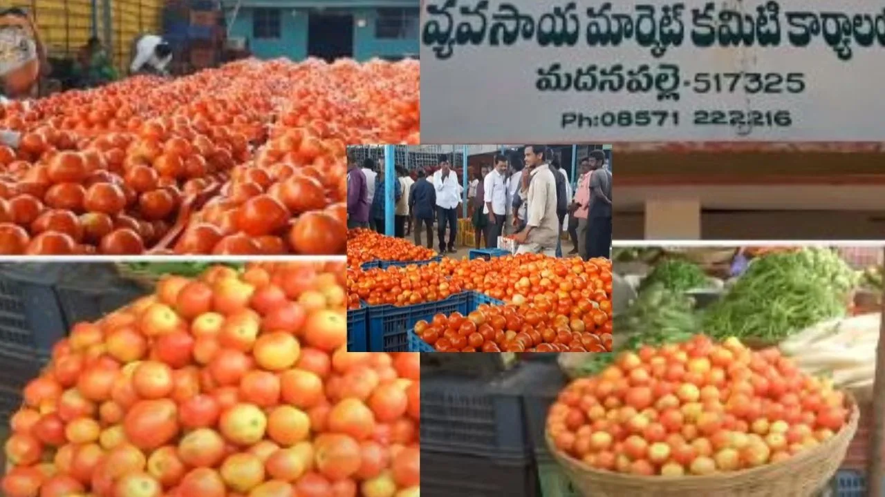 Tomato Price : టమాటా ధరకు మళ్లీ రెక్కలు..కేజీ ఎంతో తెలుసా? Tomato Price : టమాటా ధరకు మళ్లీ రెక్కలు..కేజీ ఎంతో తెలుసా?