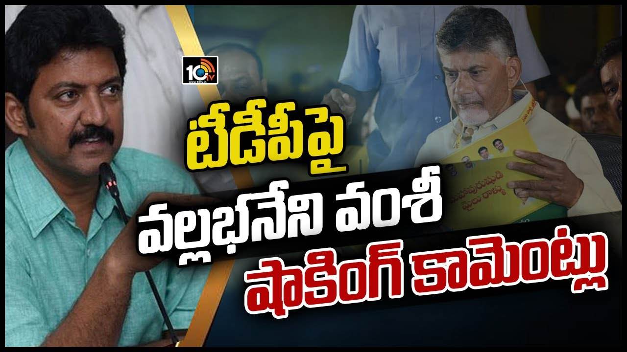 టీడీపీని నేనెప్పుడూ తిట్టలేదు