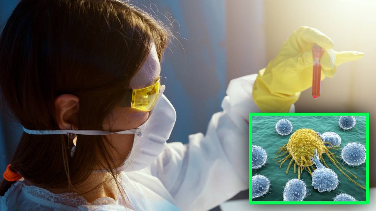 Autoimmune Diseases : ఆటో ఇమ్యూన్ వ్యాధులతో జాగ్రత్త! Autoimmune Diseases : ఆటో ఇమ్యూన్ వ్యాధులతో జాగ్రత్త!