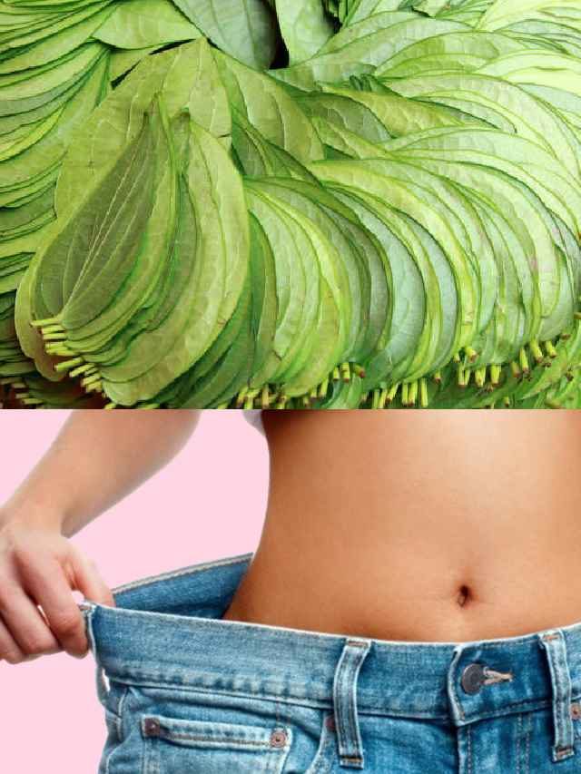 >శరీరంలో కొవ్వు నిల్వలను కరిగించే తమలపాకు!