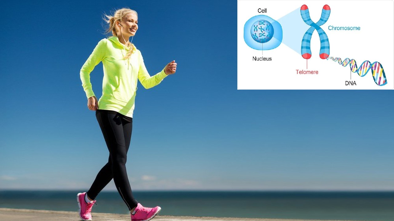 Brisk Walk: వాకింగ్ చేస్తున్నారా?: అయితే ఇలా చేసి చూడండి Brisk Walk: వాకింగ్ చేస్తున్నారా?: అయితే ఇలా చేసి చూడండి