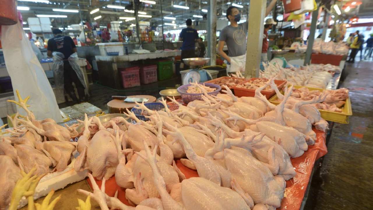 chicken prices: తెలుగు రాష్ట్రాల్లో పెరిగిన చికెన్ ధరలు chicken prices: తెలుగు రాష్ట్రాల్లో పెరిగిన చికెన్ ధరలు