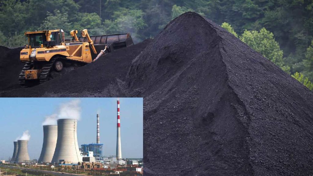 Coal