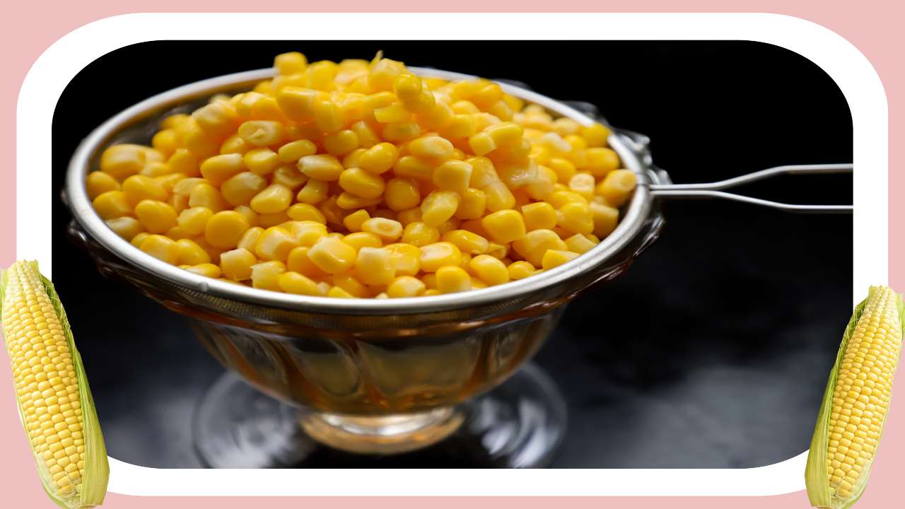 Corn Husks : గుండెకు మేలు చేసే మొక్క జొన్న పొత్తులు Corn Husks : గుండెకు మేలు చేసే మొక్క జొన్న పొత్తులు