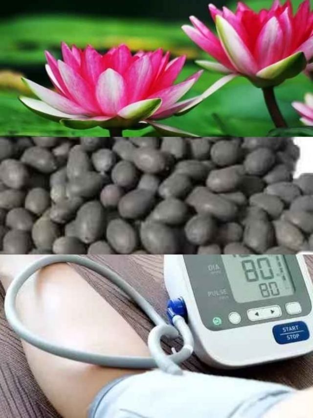 >హై బీపీ నియంత్రించి, బరువు తగ్గించే తామర గింజలు