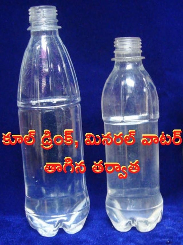 >ఖాళీ బాటిల్స్ మళ్ళీ వాడితే ఏమవుతుందో తెలుసా?