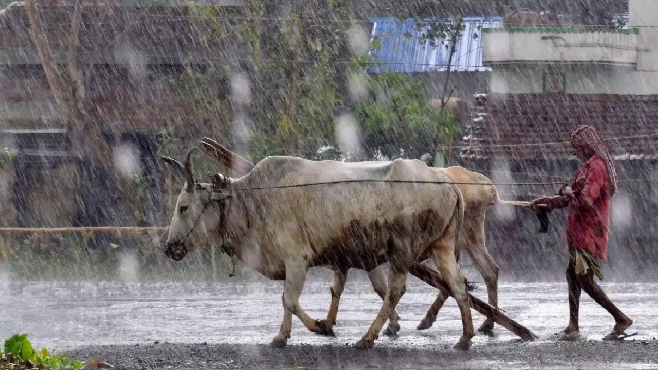 Cyclone Asani : అసని తుపాను రేపు బలహీనపడే అవకాశం ఉంది Cyclone Asani : అసని తుపాను రేపు బలహీనపడే అవకాశం ఉంది