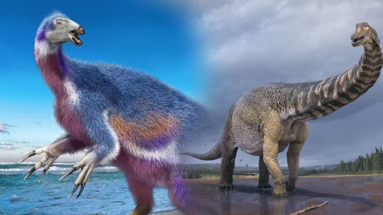 Vegan Dinosaur: డైనోసార్లు వెజిటేరియన్లా.. జపాన్ లో కనిపించిన శిలాజాలు చెప్తున్నాయేంటంటే.. Vegan Dinosaur: డైనోసార్లు వెజిటేరియన్లా.. జపాన్ లో కనిపించిన శిలాజాలు చెప్తున్నాయేంటంటే..