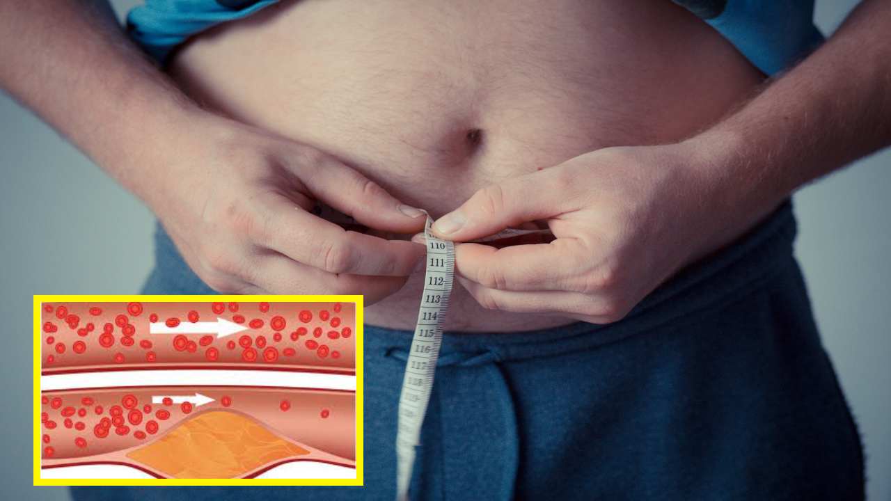 Fat : ఇవి కొవ్వును ఇట్టే కరిగించేస్తాయ్! Fat : ఇవి కొవ్వును ఇట్టే కరిగించేస్తాయ్!