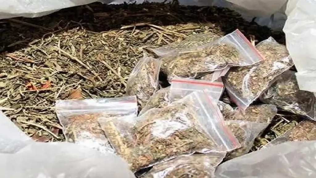 Ganja Seized