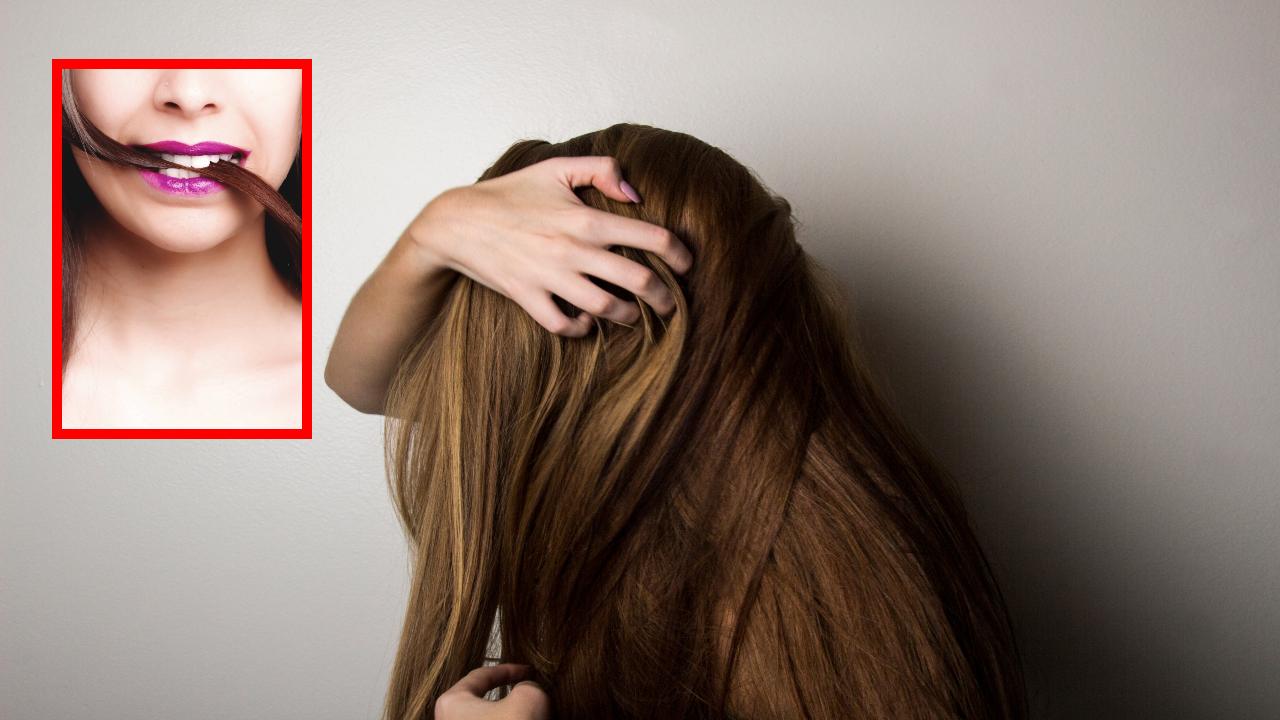 Hair Loss : జుట్టు రాలిపోతుందా? జాగ్రత్తలు పాటించడం మంచిది Hair Loss : జుట్టు రాలిపోతుందా? జాగ్రత్తలు పాటించడం మంచిది