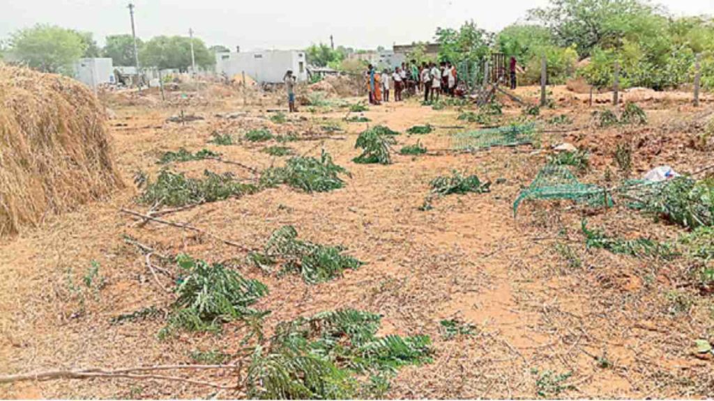 Haritha Haram