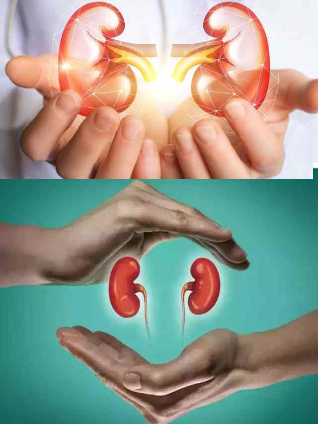 >కిడ్నీలను ఆరోగ్యంగా ఉండాలంటే 7 గోల్డెన్ రూల్స్
