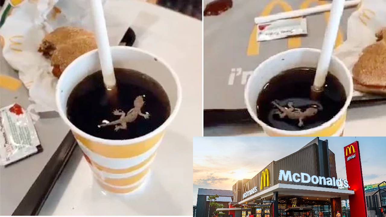 McDonald Customer: మెక్ డొనాల్డ్ కూల్ డ్రింక్లో చచ్చిన బల్లి: అవుట్లెట్ సీజ్ McDonald Customer: మెక్ డొనాల్డ్ కూల్ డ్రింక్లో చచ్చిన బల్లి: అవుట్లెట్ సీజ్