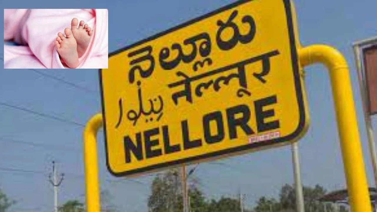 Nellore : రెండేళ్ల చిన్నారి మృతదేహాన్ని తరలించేందుకు అంబులెన్స్ సిబ్బంది నిరాకరణ..బైక్పై గ్రామానికి తీసుకెళ్లిన తండ్రి Nellore : రెండేళ్ల చిన్నారి మృతదేహాన్ని తరలించేందుకు అంబులెన్స్ సిబ్బంది నిరాకరణ..బైక్పై గ్రామానికి తీసుకెళ్లిన తండ్రి