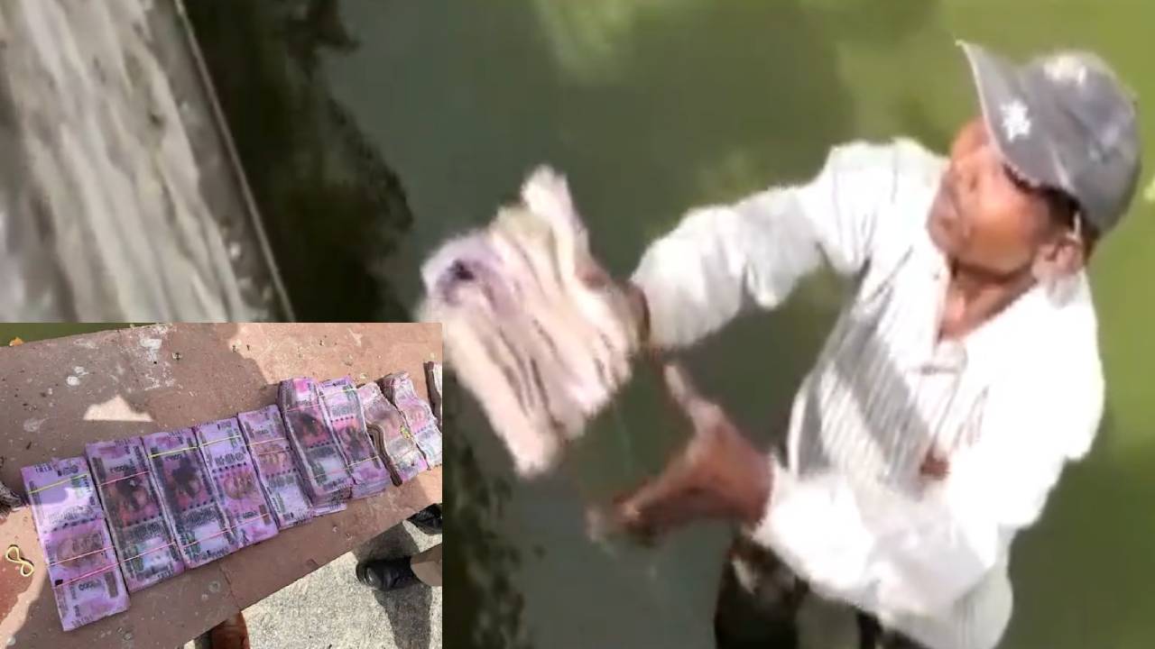 Money Notes: సరస్సులో కట్టల కొద్ది రూ.2000 నోట్లు: ఆశ్చర్యపోయిన స్థానికులు Money Notes: సరస్సులో కట్టల కొద్ది రూ.2000 నోట్లు: ఆశ్చర్యపోయిన స్థానికులు